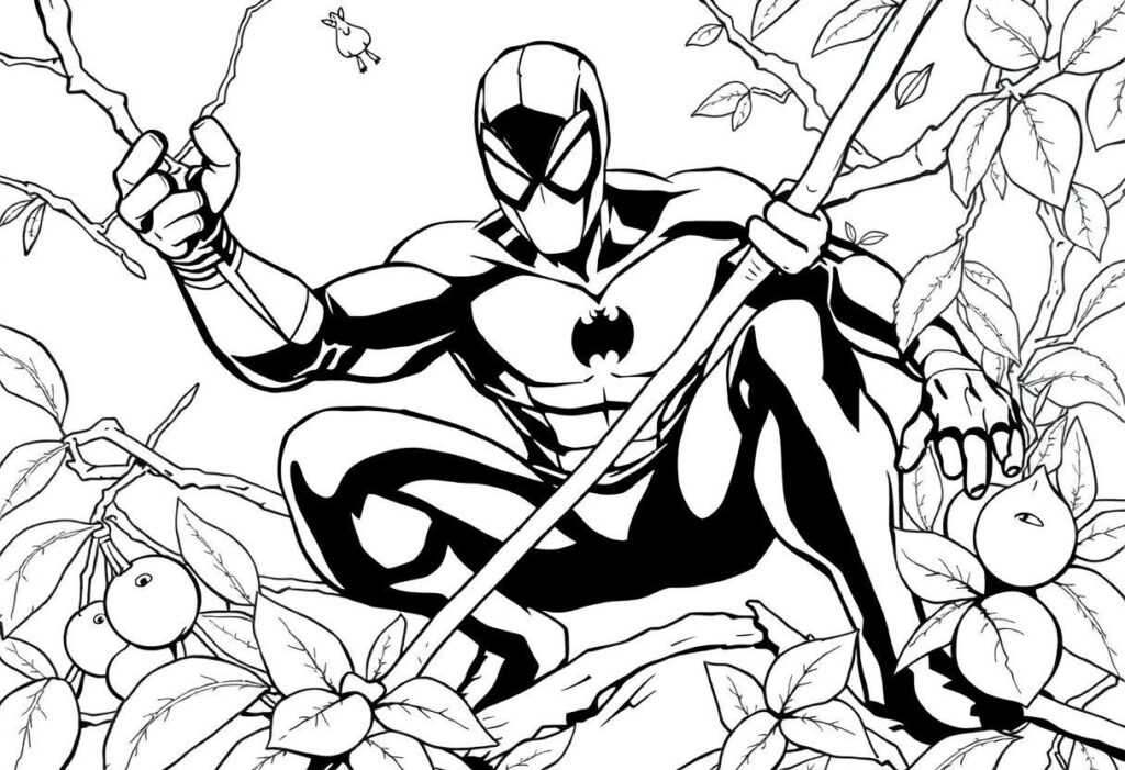 DESENHO DE ARANHA TÉCNICAS FÁCEIS PARA DESENHAR ARACNÍDEOS REAIS