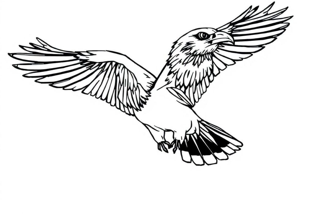 DESENHO DE AVIÃO MODELOS INCRÍVEIS PARA COLORIR E SE DIVERTIR